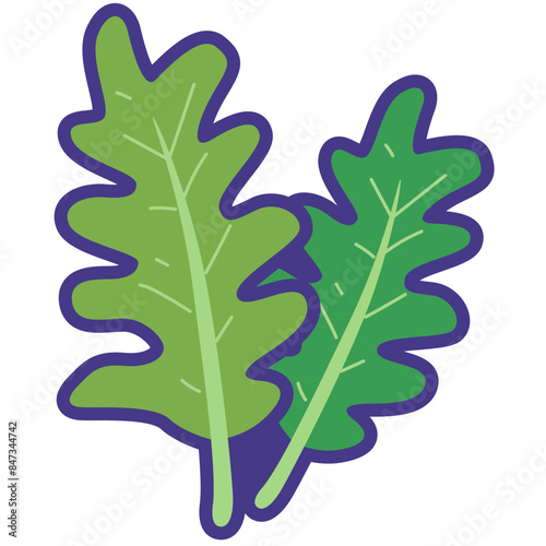 Arugula vegetable cartoon icon vector illustration, healthy green leafy vegetables