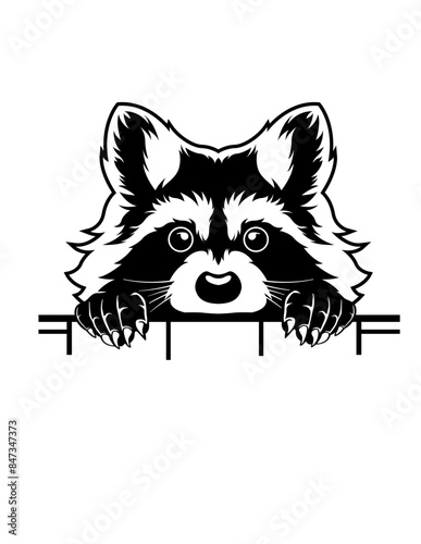 Cute Raccoon | Wildlife | Woodland Party Decors | Jungle Animal | Peeking Raccoon | Scavenger | Salt Life Tropical | Original Illustration | Vector and Clipart | Cutfifle and Stencil