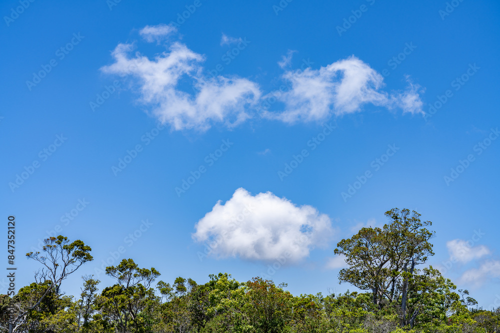 Kalalau Lookout, Kokee State Park Kauai Hawaii. Clouds photographed from an airplane,Cumulus clouds are clouds that have flat bases and are often described as puffy, cotton-like, or fluffy in appearan Kalalau Lookout, Kokee State Park Kauai Hawaii. Clouds photographed from an airplane,Cumulus clouds are clouds that have flat bases and are often described as puffy, cotton-like, or fluffy in appearan