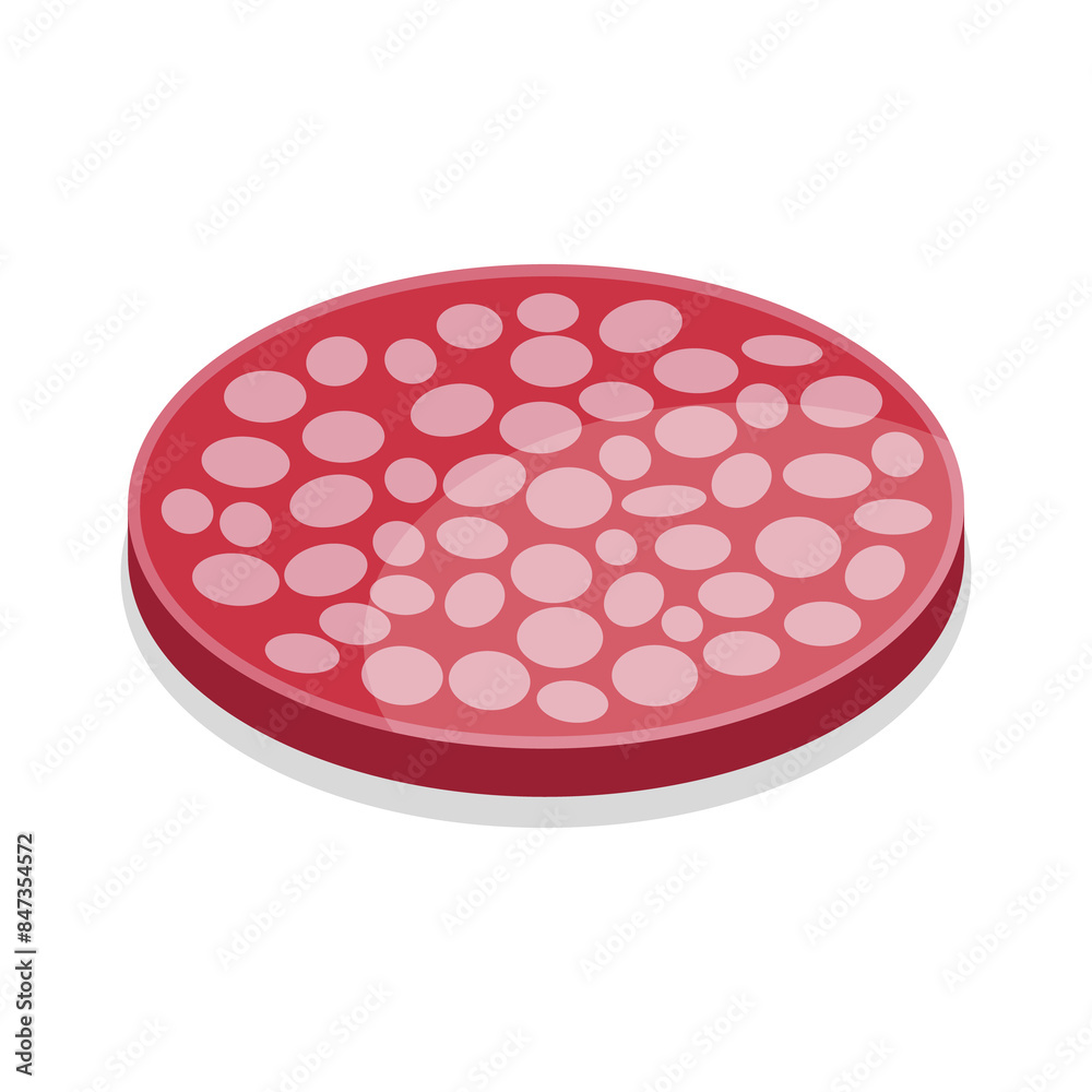 3D Isometric Flat Set of Sausages and Meat Products. Item 9 3D Isometric Flat Set of Sausages and Meat Products. Item 9