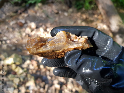 Fragment of wet chalcedony in hand, field photo, rockhound