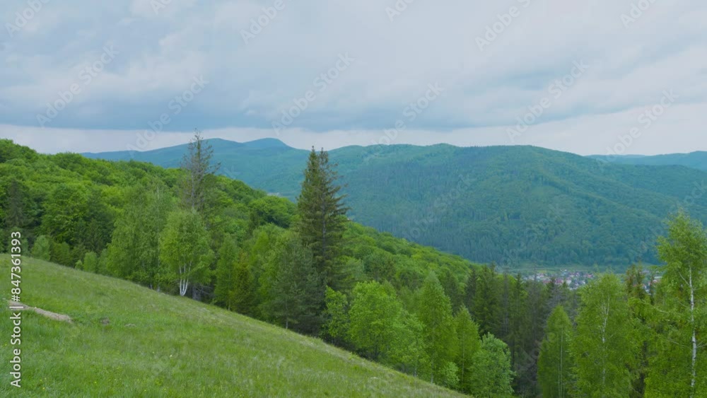 Panoramic view of the mountains, forest, valley in summer.