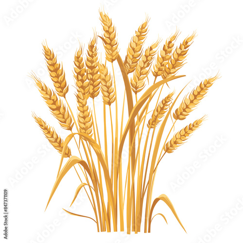Golden wheat sheaves isolated against white background, symbolizing agriculture, harvest, breadmaking. Wheat ears, stalks, grains detailed, indicating ripe cereal crop ready harvesting. Farming