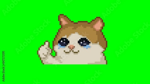 Video Cat with thumbs up, pixel art meme