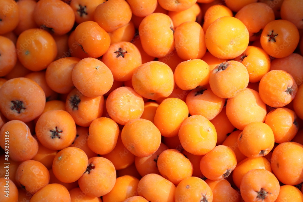 Enjoy a bountiful and vibrant harvest of fresh orange persimmons in a candid closeup Enjoy a bountiful and vibrant harvest of fresh orange persimmons in a candid closeup