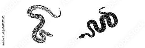  silhouette illustration  background for a snake day © Al