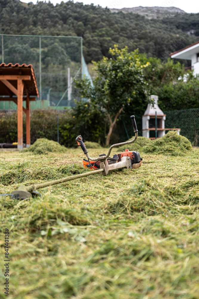 Electric lawn trimmer on grass. Electric lawn trimmer on grass.