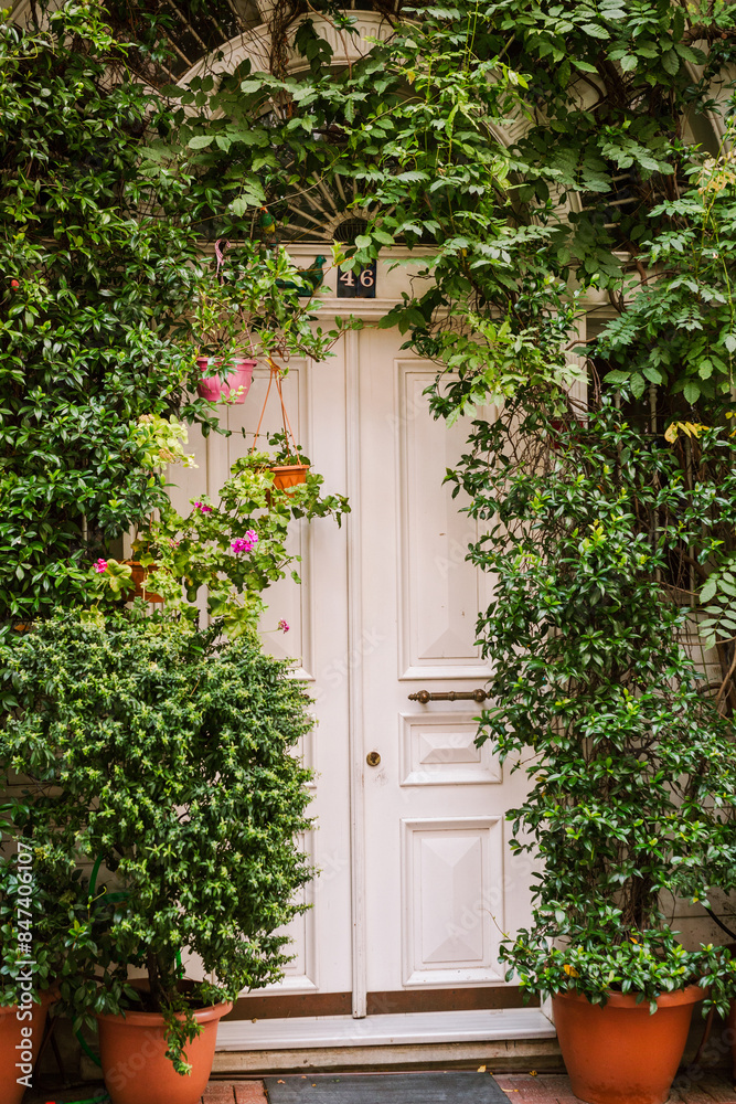 Picturesque Greenery-Framed White Doorway Picturesque Greenery-Framed White Doorway