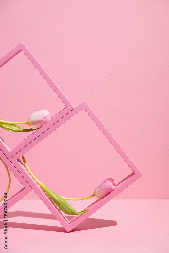 Still life of Spring tulip flowers on pink background and shapes Still life of Spring tulip flowers on pink background and shapes