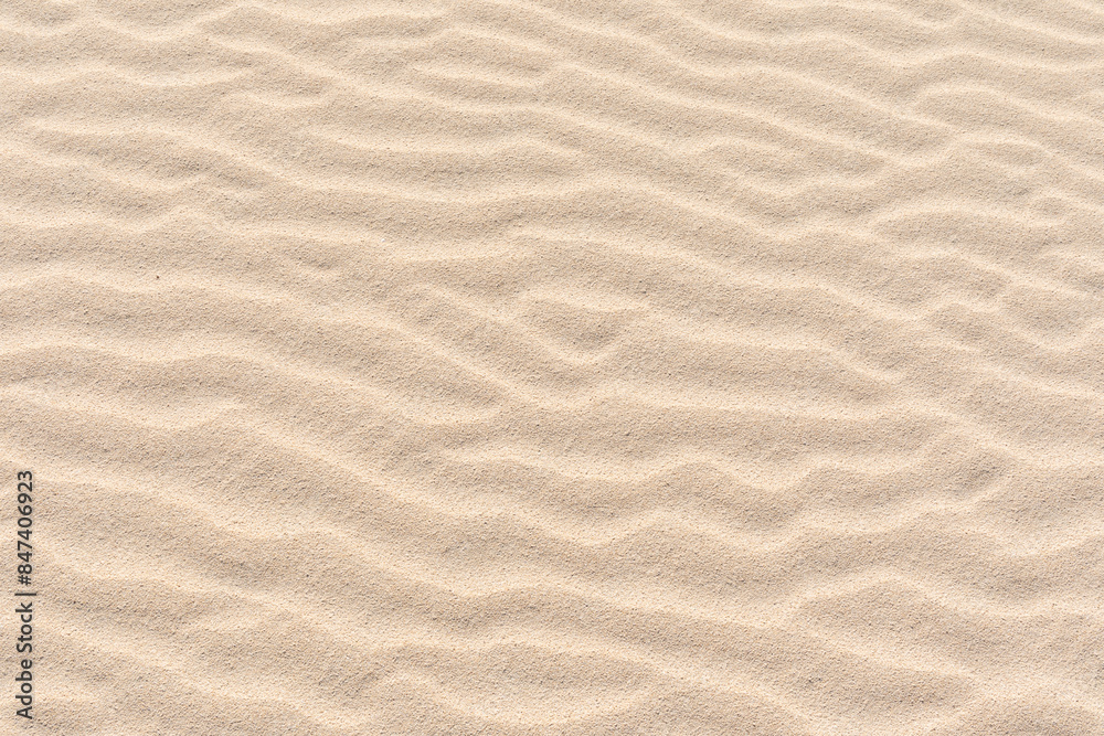 Rippled sand on a sand dune.
