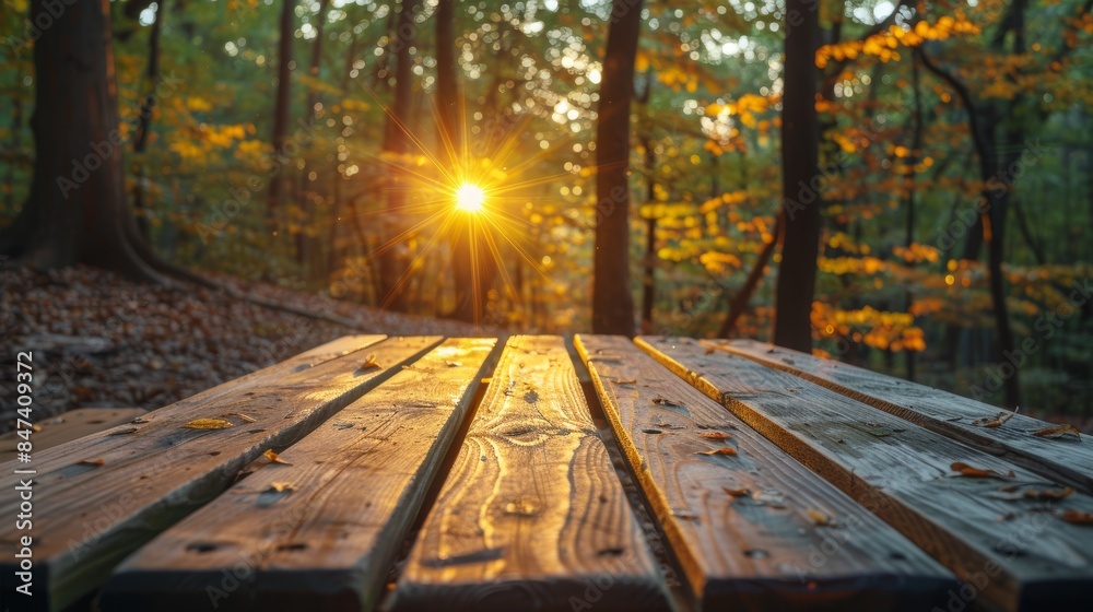 A tranquil and serene autumn forest scene with sunlight streaming through the trees and falling on a wooden picnic table, highlighting the beauty of nature A tranquil and serene autumn forest scene with sunlight streaming through the trees and falling on a wooden picnic table, highlighting the beauty of nature