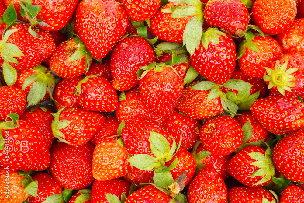 close up of many strawberries as a background isolated close up of many strawberries as a background isolated