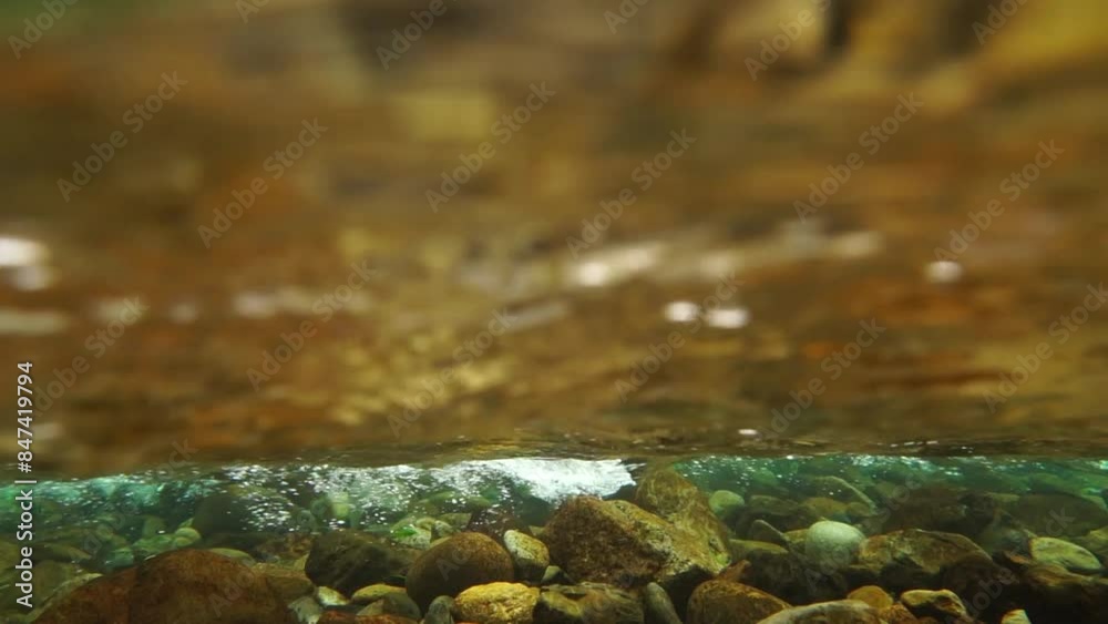 清流の水中と水上の映像 三重県 銚子川 スローモーション 清流の水中と水上の映像 三重県 銚子川 スローモーション