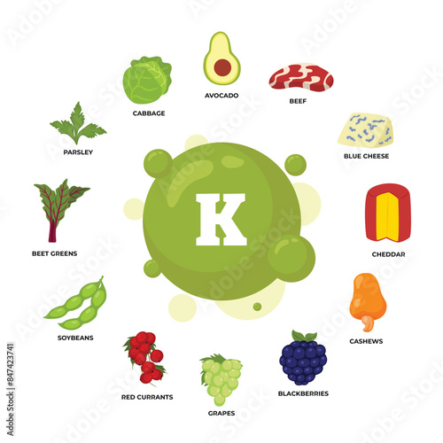 Set of vitamin K source dietetic organic nutrition products, Organic nutrition, food containing avocado, beef, blue cheese, cheddar, cashew, grapes, red currants, soybeans, beet, parsley, cabbage