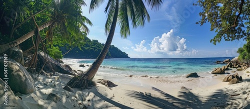 Exploring a stunning tropical beach on Similan Island with coconut and palm trees. photo