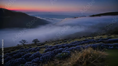 Mountaintop Sunrise Over Foggy Valley With Purple Flowers