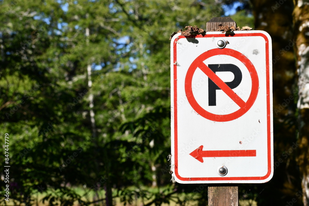 No parking sign with left hand arrow in campground. No parking sign with left hand arrow in campground.