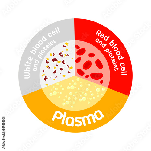 A circular graphic illustrating the components of blood, including white blood cells and platelets, red blood cells and platelets, and plasma, divided into three sections on a white background.