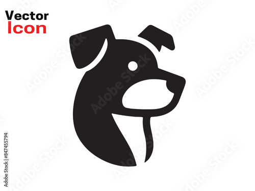 dog and bone
