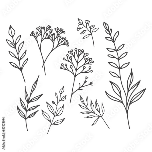 Minimal hand drawn floral botanical line art vector