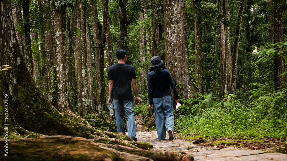 Obraz premium Rear view of asian couple walking together on a pathway in green lush thick forest in Aiknyet, Lombok, Indonesia. Relaxing in nature, recreation, freedom.