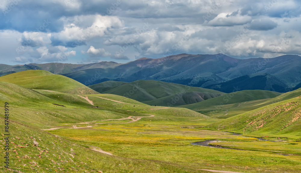 Fototapeta premium Picturesque high mountain plateau in southeast Kazakhstan on a cloudy summer day