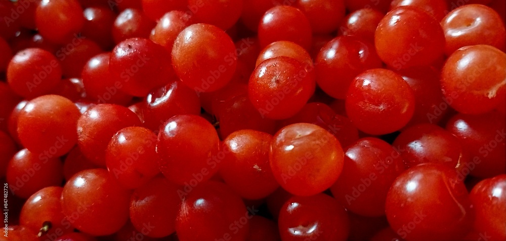 Red Cherry Red Cherry