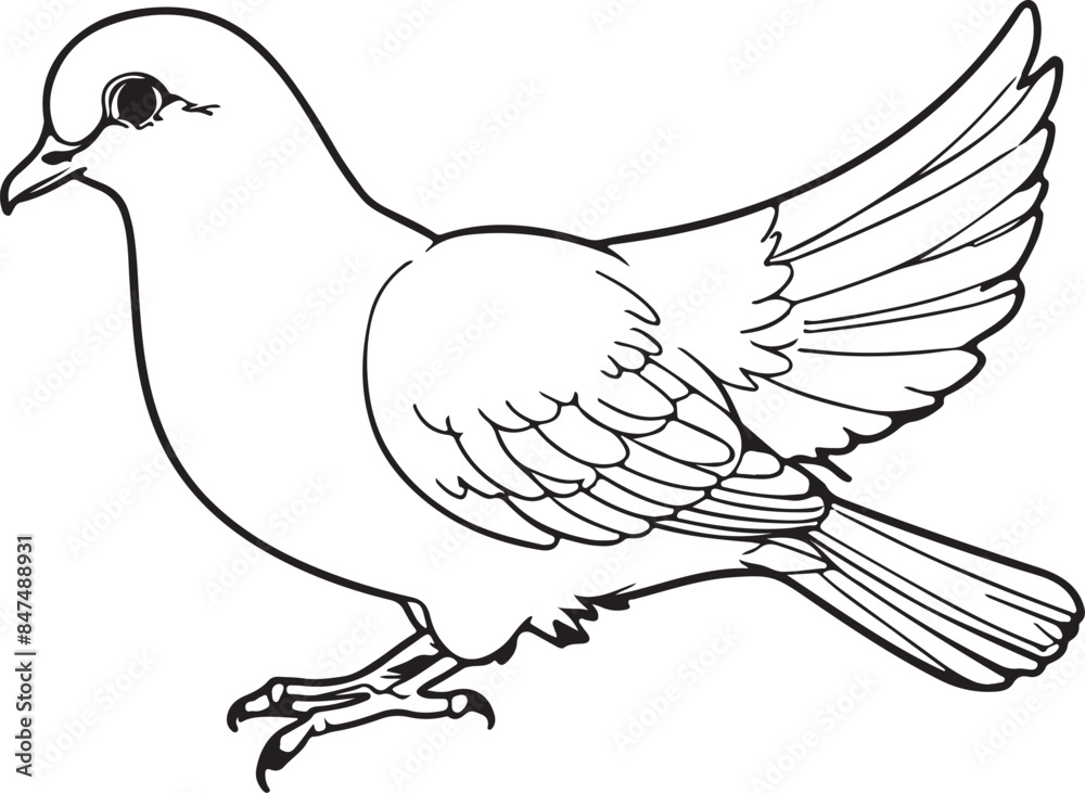 Obraz premium Pigeon bird coloring book page vector,dove