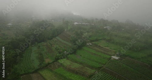 Aerial View of Rural Agricultural Fields in Mist and Fog photo