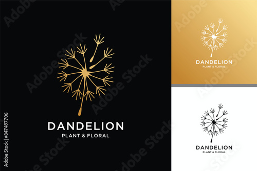 Abstract dandelion logo design illustration 