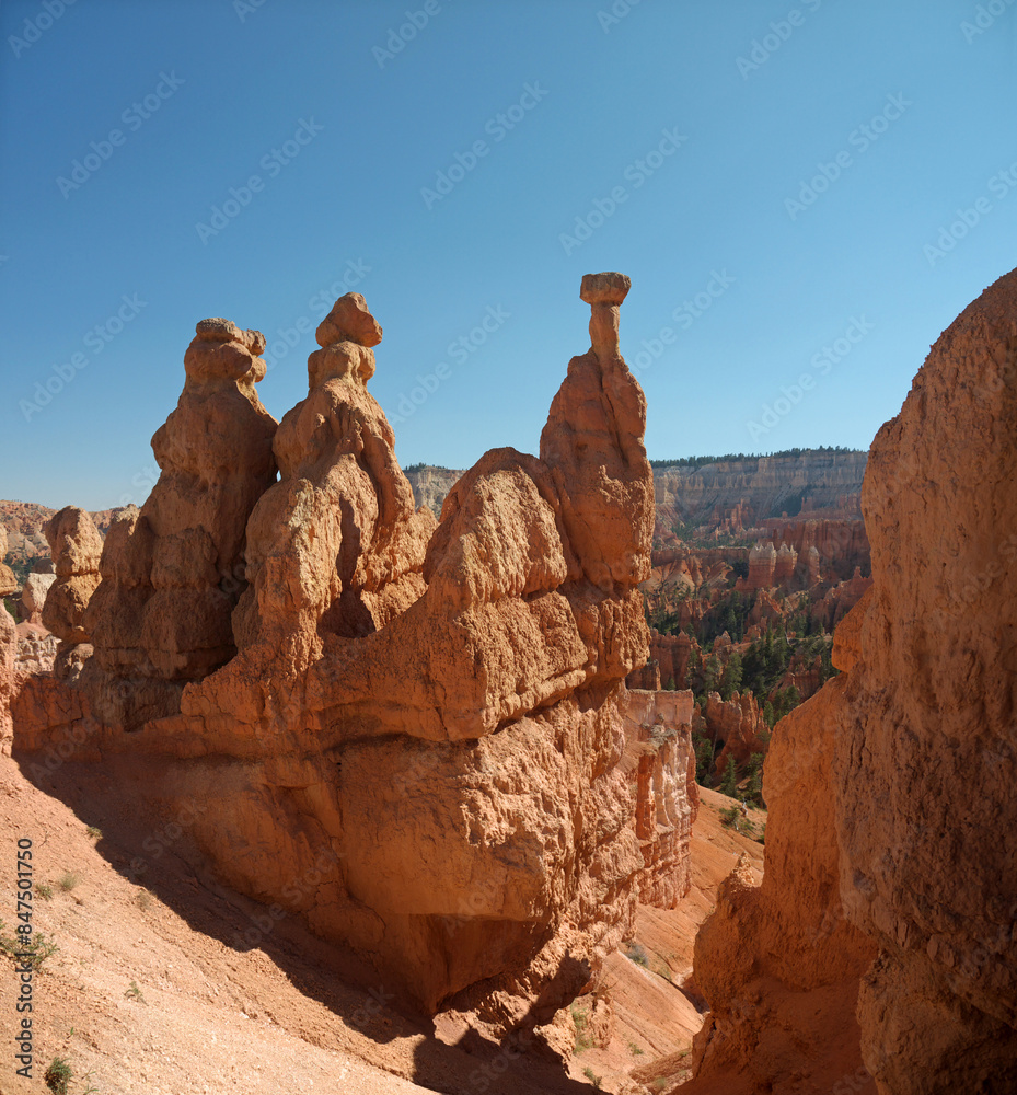 Fototapeta premium Thor's Hammer hoodoo famous rock formation in Bryce canyon on Wall Street Trail