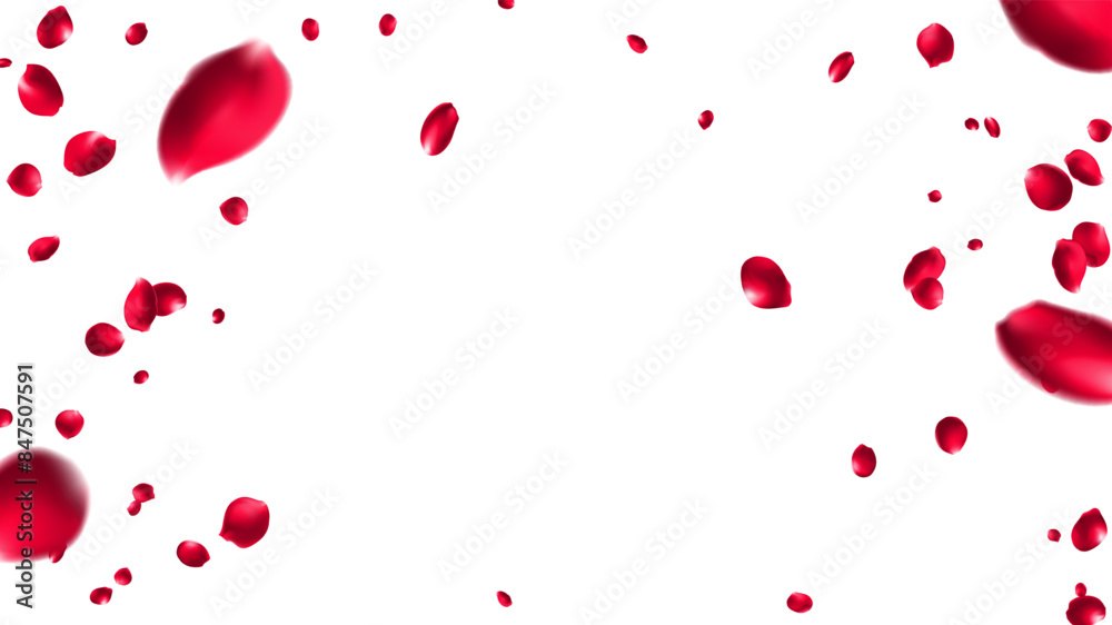 Valentine day background with red rose petals. Vector illustration. Celebration banner design with rose flying confetti, love day Singapore, summer valentine brazil, Mesh Gradient was used Valentine day background with red rose petals. Vector illustration. Celebration banner design with rose flying confetti, love day Singapore, summer valentine brazil, Mesh Gradient was used