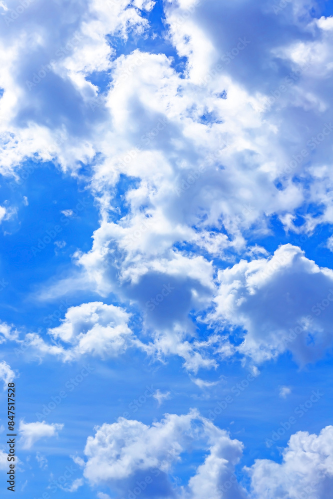 Fototapeta premium The white skies on a bright summer day 