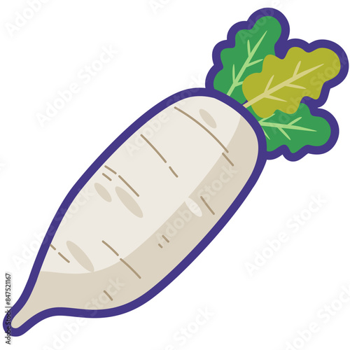White daikon radish vegetable cartoon icon vector illustration, fresh white radishes or daikon radishes image, sayuran lobak putih, healthy vegetables