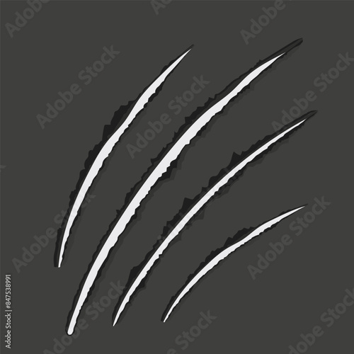 Scratch mark claw trace wild animal nails scratches textured torn paper edge on dark background. Fancy cat, tiger, lion paw trace