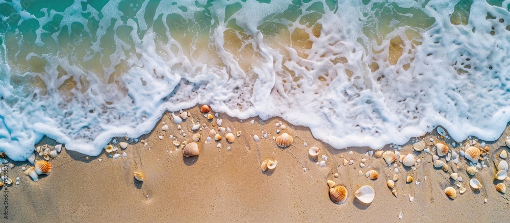 Shells on sandy shores: A serene summertime beachscape from above.