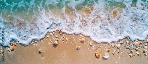Obraz na płótnie Shells on sandy shores: A serene summertime beachscape from above. w salonie
