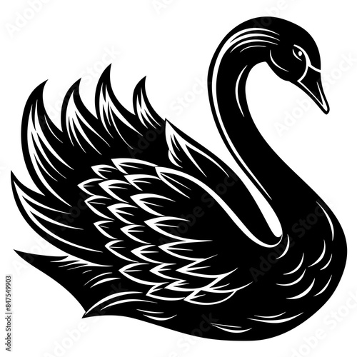 black silhouette swan vector illustration