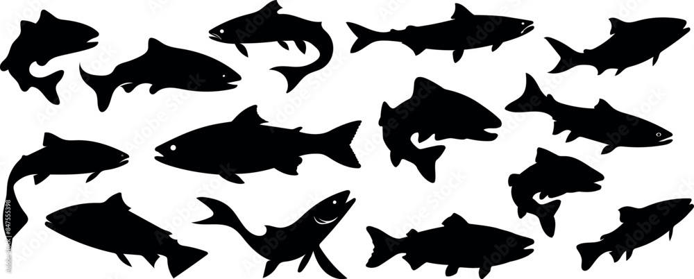 Set of salmon silhouettes in line art style. Hand-drawn fish vector for colouring book. Black and white sketch. silhouettes of animals Set of salmon silhouettes in line art style. Hand-drawn fish vector for colouring book. Black and white sketch. silhouettes of animals