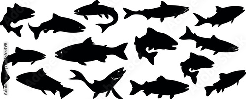 Set of salmon silhouettes in line art style. Hand-drawn fish vector for colouring book. Black and white sketch. silhouettes of animals