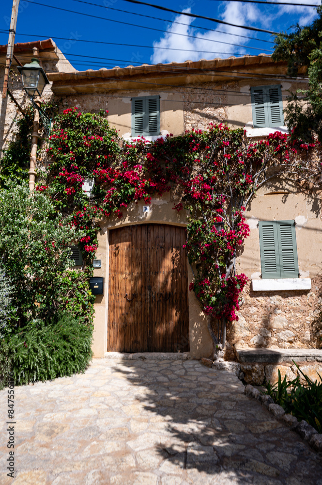 Naklejka premium Mallorca, Landschaft, Mittelmeer, Pflanzen, Natur, Blumen, Tiere, Markt, Reisen, Travel, Europa, Mediterran