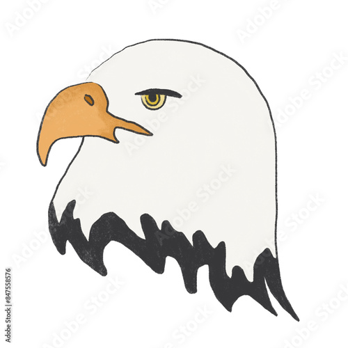 illustration of an eagle