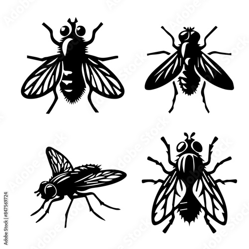 Canvas Print housefly  illustration on white background