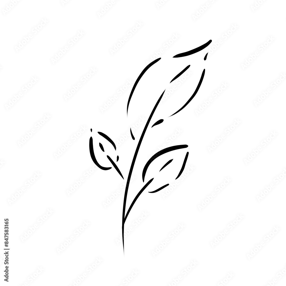 black and white design black and white design