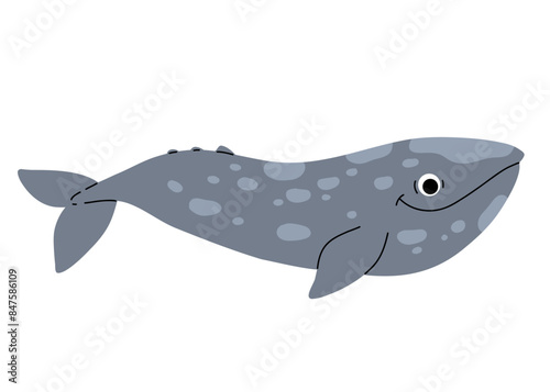 Vector cartoon illustrations of grey whale on a white background. Flat cute icon of whale. Underwater world, ocean, underwater inhabitants.