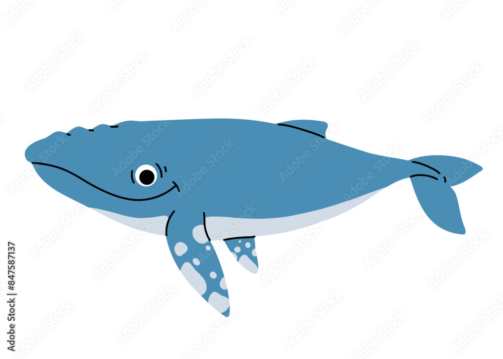 Vector cartoon illustrations of humpback whale on a white background. Flat cute icon of whale. Underwater world, ocean, underwater inhabitants. Vector cartoon illustrations of humpback whale on a white background. Flat cute icon of whale. Underwater world, ocean, underwater inhabitants.