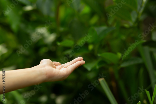 Technology, Hands holding globe of tropical nature summer background, 