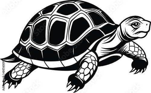 black silhouette of turtle vector illustration on white background