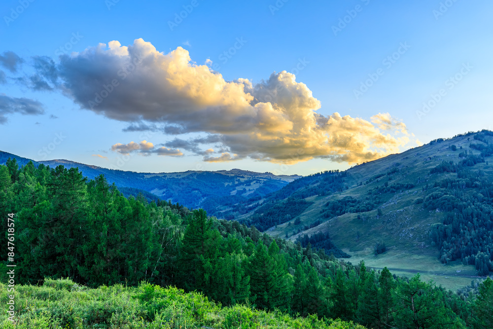Green forest and mountains nature landscape at dusk in Xinjiang, China.