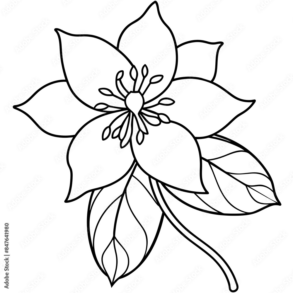 Columbine flower Lineart vector illustration